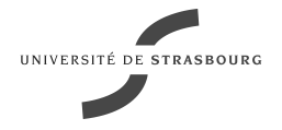 Seafile der Uni Strassburg